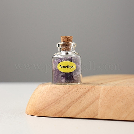 Mini set di bottiglie di chip di ametista naturale G-PW0007-139G-1