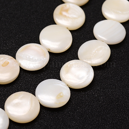 Fili di perle rotonde piane di acqua dolce naturali SHEL-M013-05-1