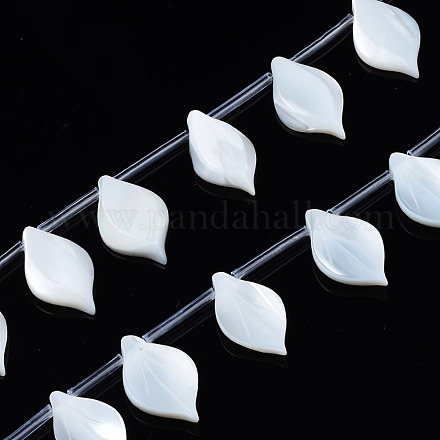 Shell normal de perles blanches de brins SSHEL-S278-119-1