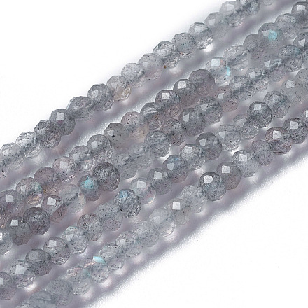 Chapelets de perles en labradorite naturelle  X-G-F596-07-1