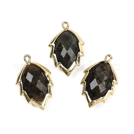 Подвески из натурального лабрадорита в форме листа G-I375-04G-08-1