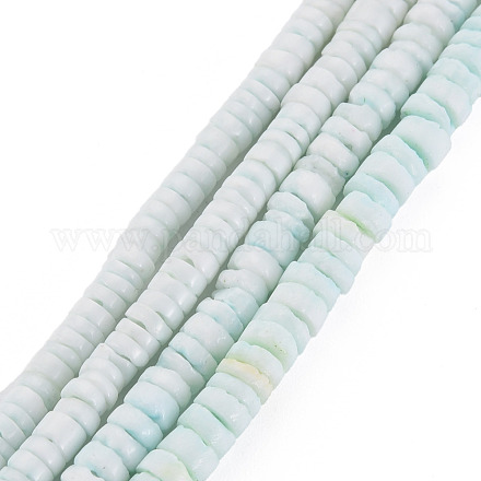 Sea Shell Beads Strands SSHEL-T014-49-1
