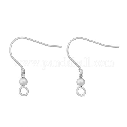 316 Surgical Stainless Steel Earring Hooks X-STAS-I066-05-1