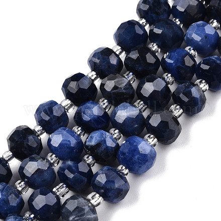 Natural Sodalite Beads Strands G-N327-08X-1