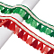 4M 2 Colors Ethnic Style Polyester Fringe Lace Trims, Tassel Ribbons, Mixed Color, 1-1/2 inch(37mm), 2m/color