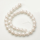 Cuentas de perlas de imitación de concha BSHE-F0014-6mm-10-2
