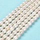 Natural Cultured Freshwater Pearl Beads Strands PEAR-E016-190-2