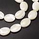 Chapelets de perles de coquille de trochid / trochus coquille SSHEL-K008-05-3