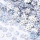 装飾アクセサリー  ポリ塩化ビニールのプラスチック製のスパンコール/スパンコールビーズ  ABカラー  スノーフレーク  クリスマスのために  雪  6x0.2mm  穴：0.9mm  約40000個/500g PVC-R022-001-2