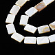 Eau douce naturelle de coquillage perles brins X-SHEL-Q024-013-3