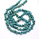 Synthetic Turquoise Beads Strands G-O049-C-02-3