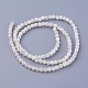 Chapelets de perles de coquillage SSHEL-E571-38-3mm-2