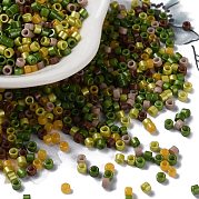Выпечка краска стеклянные бусины SEED-S042-05A-12
