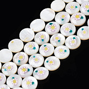 Бусины из натуральной пресноводной эмали SHEL-N026-194-05