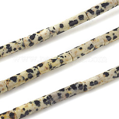 Natur Dalmatiner Jaspis Perlen Stränge, Kolumne, 13~14x4 mm, Bohrung: 1 mm, ca. 30 Stk. / Strang, 15.9 Zoll (40.5 cm)
