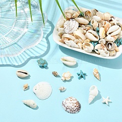 Наборы для самостоятельного изготовления панциря морской черепахи и морской звезды&nbsp;DIY-YW0017-07