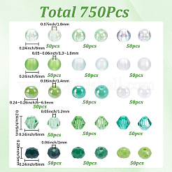 750 kit de cuentas DIY para el Día de San Patricio con 15 estilos&nbsp;DIY-SP0006-64B