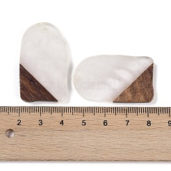 Подвески из смолы и дерева&nbsp;WOOD-F015-13C