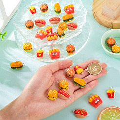 30шт 6 стиля непрозрачные подвески из смолы&nbsp;RESI-TA0004-05