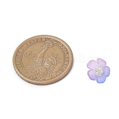 Акриловые подвески&nbsp;PALLOY-JF04521