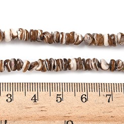 Нити бусин из натуральной черной ракушки для губ SSHEL-F304-02A