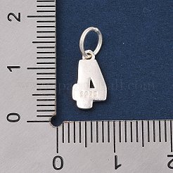 Ciondoli in argento sterling serie numero 925&nbsp;LS-STER-Q002-01E