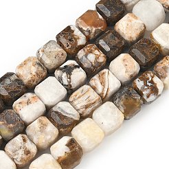 Природные окаменелое дерево бисер пряди&nbsp;G-C267-A06