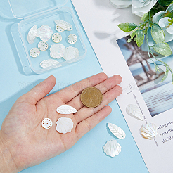 18 шт. подвески из натуральной морской ракушки в 3 стилях&nbsp;FIND-DC0003-75