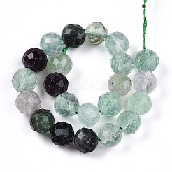 Perline fluorite naturale fili&nbsp;G-S345-8mm-31
