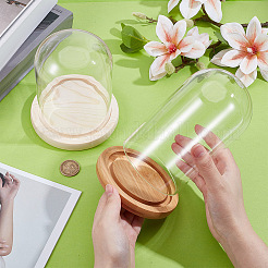 2 шт. 2-х стилистическая стеклянная крышка-купол&nbsp;AJEW-NB0007-12