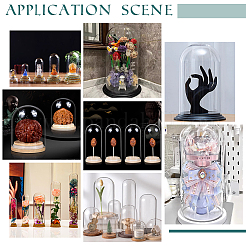 10 шт. 5-х стилистическая прозрачная стеклянная бутылка&nbsp;AJEW-PH0011-40