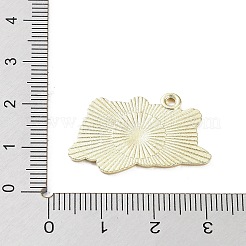 Подвески из эмали и сплава&nbsp;ENAM-P253-01G-G