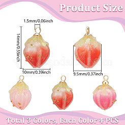 12 шт. 3-х цветные непрозрачные акриловые подвески&nbsp;MACR-UN0001-02