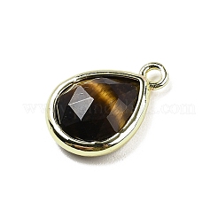 Pendentifs à facettes en oeil de tigre naturel&nbsp;G-U019-05G-11