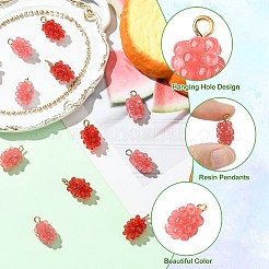 12шт 2 цвета подвески из смолы&nbsp;RESI-CJ0004-71