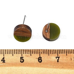 Серьги-гвоздики из непрозрачной смолы и орехового дерева&nbsp;X-EJEW-N017-008-B08