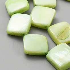 Нити бусин из натуральных пресноводных ракушек&nbsp;SHEL-WH0005-02A