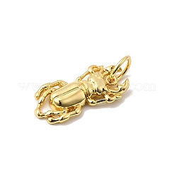 Латунные подвески&nbsp;KK-I364-05G-03