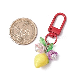 Подвесные украшения из фруктовой смолы и акрила&nbsp;HJEW-JM02987