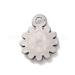 Подвески из нержавеющей стали 304&nbsp;LS-STAS-E169-15P