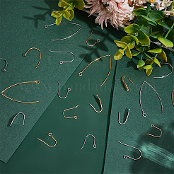 20 шт. 10 вида сережек-крючков из нержавеющей стали&nbsp;STAS-LP0001-54