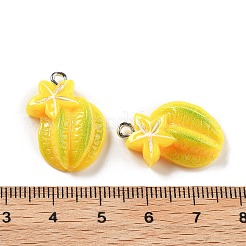 Подвески из непрозрачной смолы&nbsp;LS-RESI-S013-02I