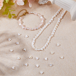 2 нить бусин из натуральных пресноводных ракушек&nbsp;SHEL-SC0001-85D