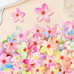72 Stück 12 Stile Kunststoff-Cabochons&nbsp;KY-SC0002-58