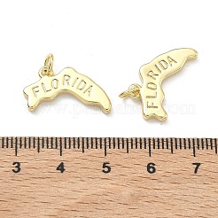 Pendentifs en laiton&nbsp;KK-D229-22D-G