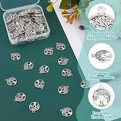 120 шт. Подвески из сплава в тибетском стиле&nbsp;TIBE-DC0001-14B