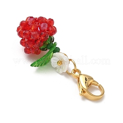 3D подвеска из стеклянных семян яблок и акрила&nbsp;HJEW-MZ00353