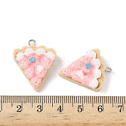 Подвески из непрозрачной смолы&nbsp;FIND-Z092-01P-02