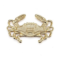 Подвески из сплава &nbsp;TIBEP-A040-016G-NR