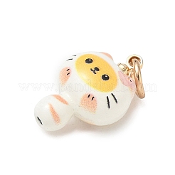Pendentifs d'émail en alliage&nbsp;LS-AL-CBA1A1A-01
